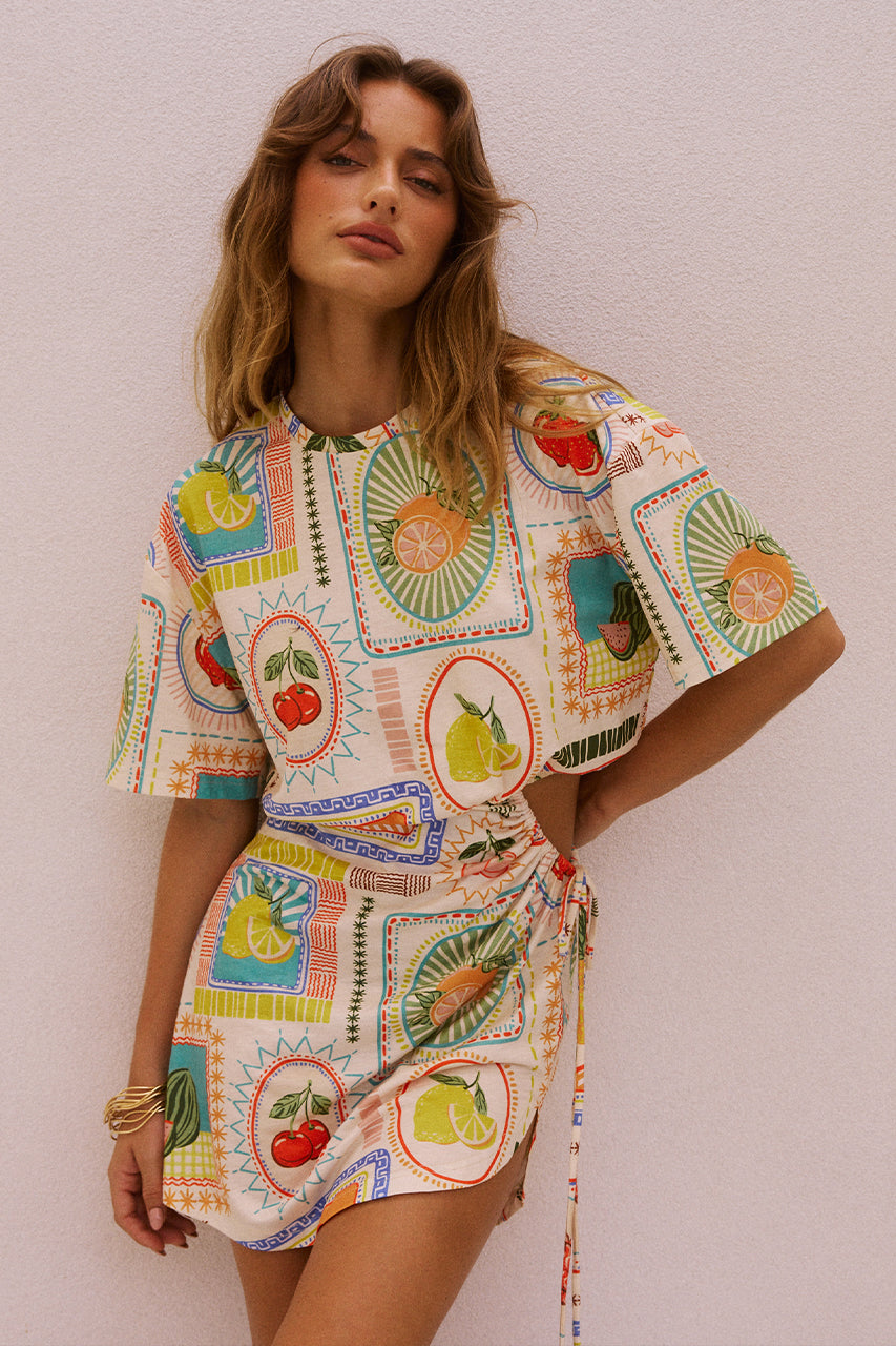 BRIZZIE MINI DRESS